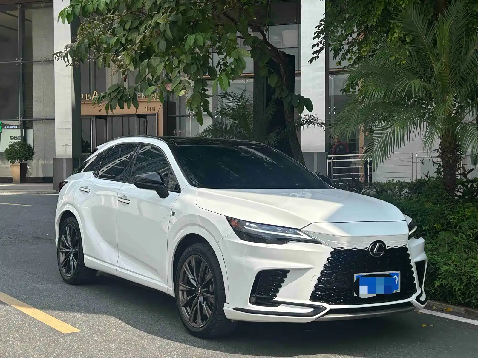 Фото 8 - Lexus RX