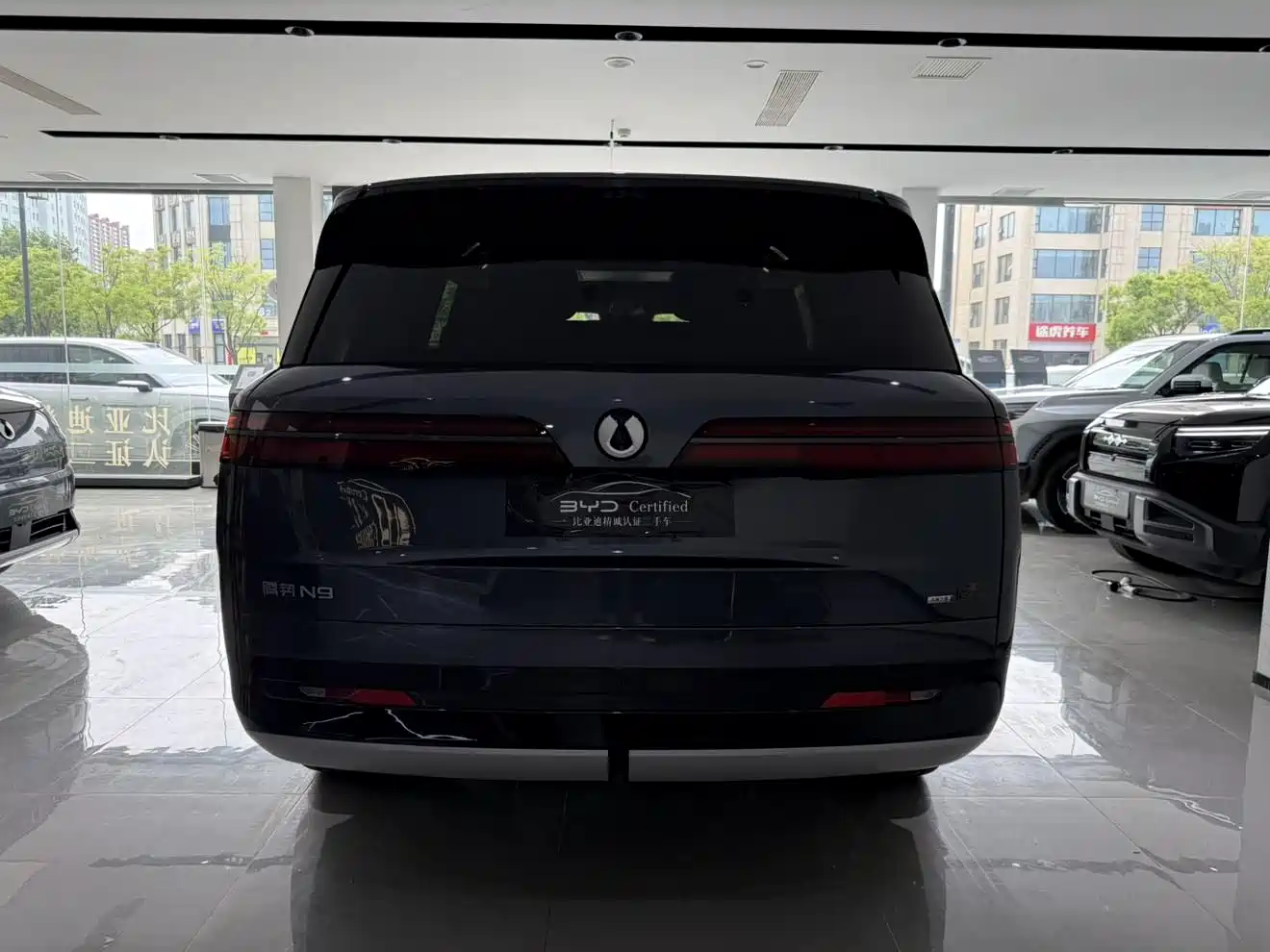 Denza N9 2025 Model Prestige Edition фото 11