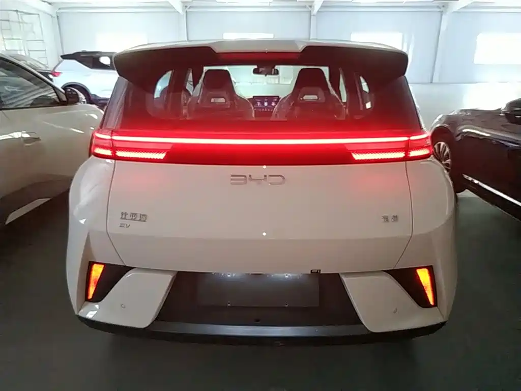 BYD Seagull 2026 2025 Smart Drive Edition 305km Vitality Version