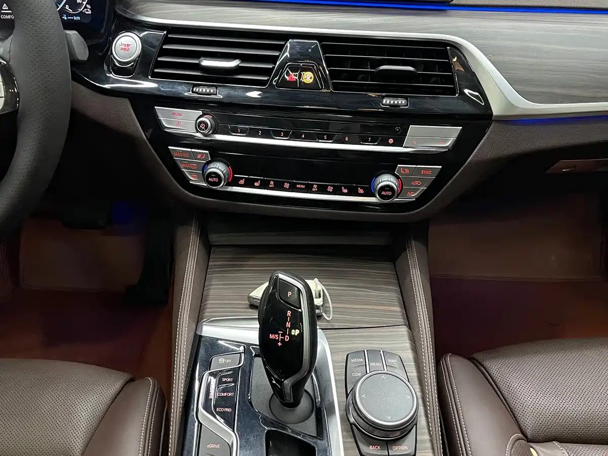 BMW 5 SERIES NEW ENERGY