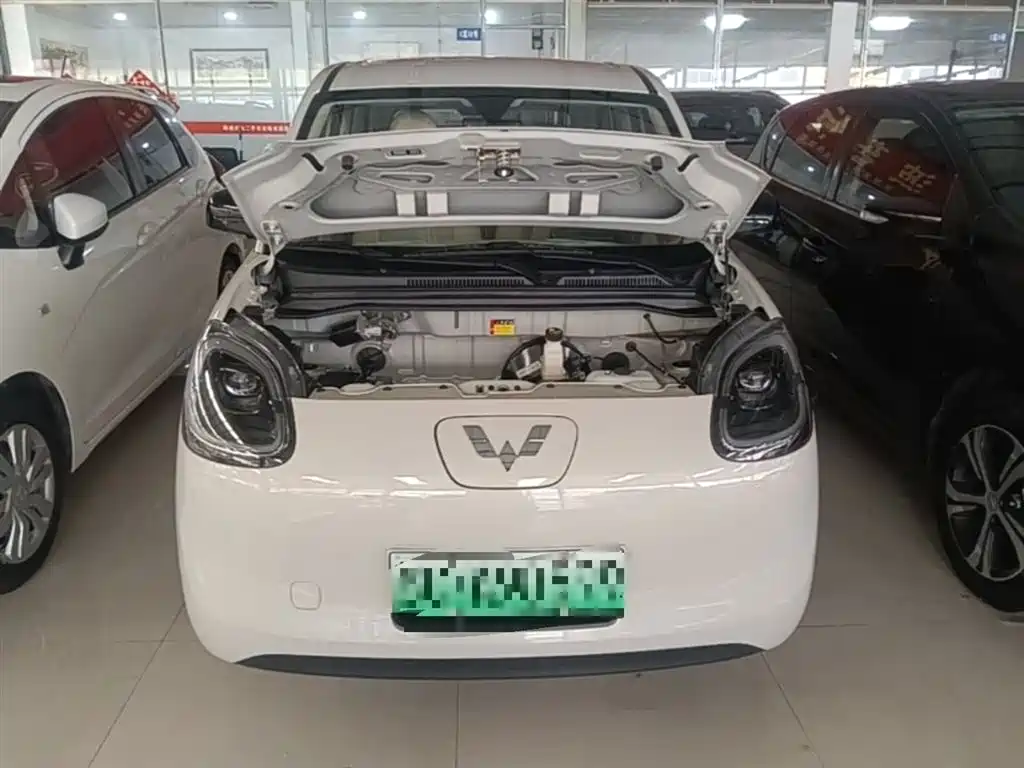 Фото 20 - Wuling Motors Hongguang MINIEV
