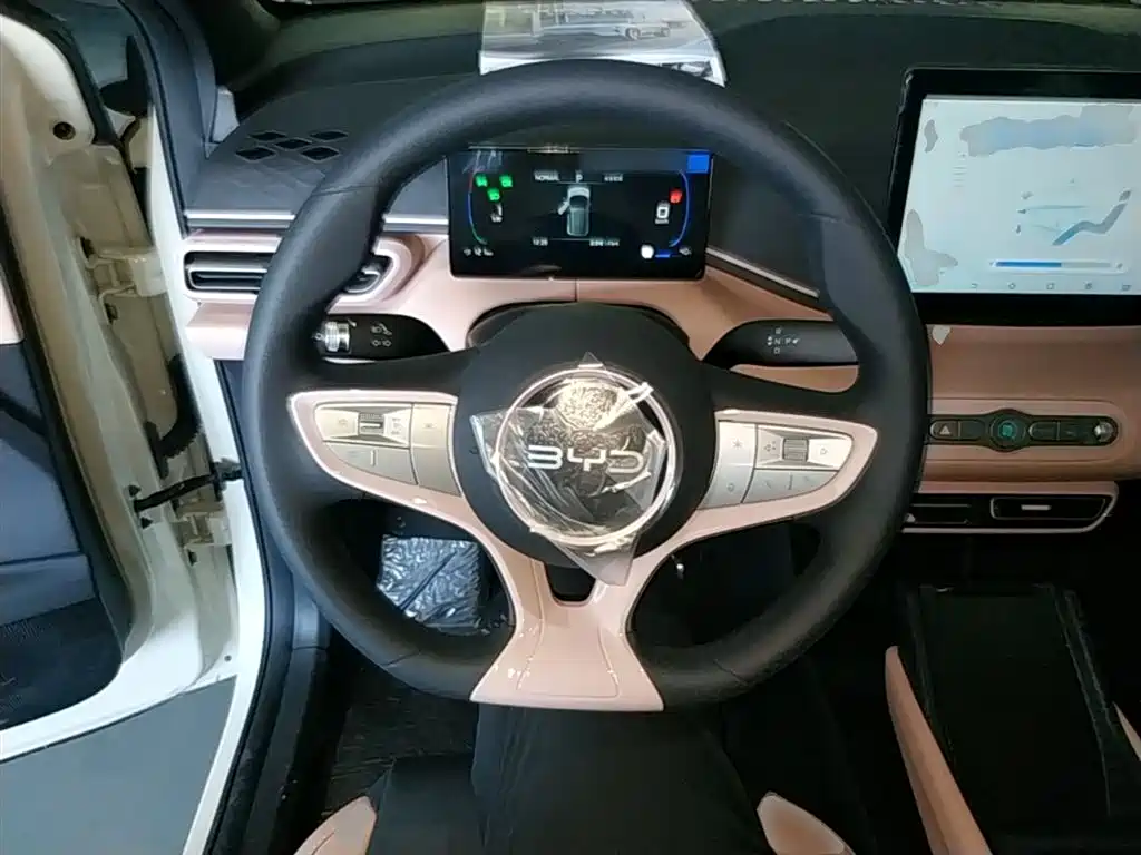 BYD Seagull 2026 2025 Smart Drive Edition 305km Vitality Version