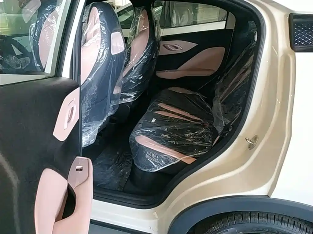 BYD Seagull 2026 2025 Smart Drive Edition 305km Vitality Version