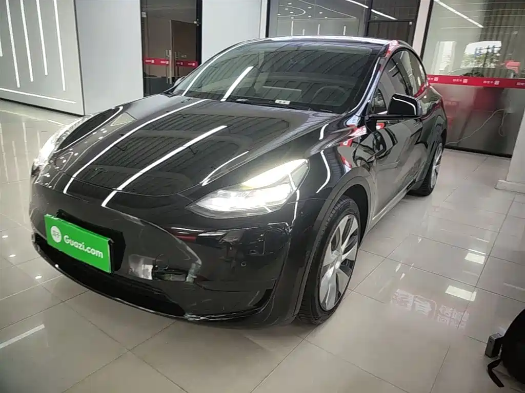 Tesla Model Y 2022 Rear-Wheel Drive Version