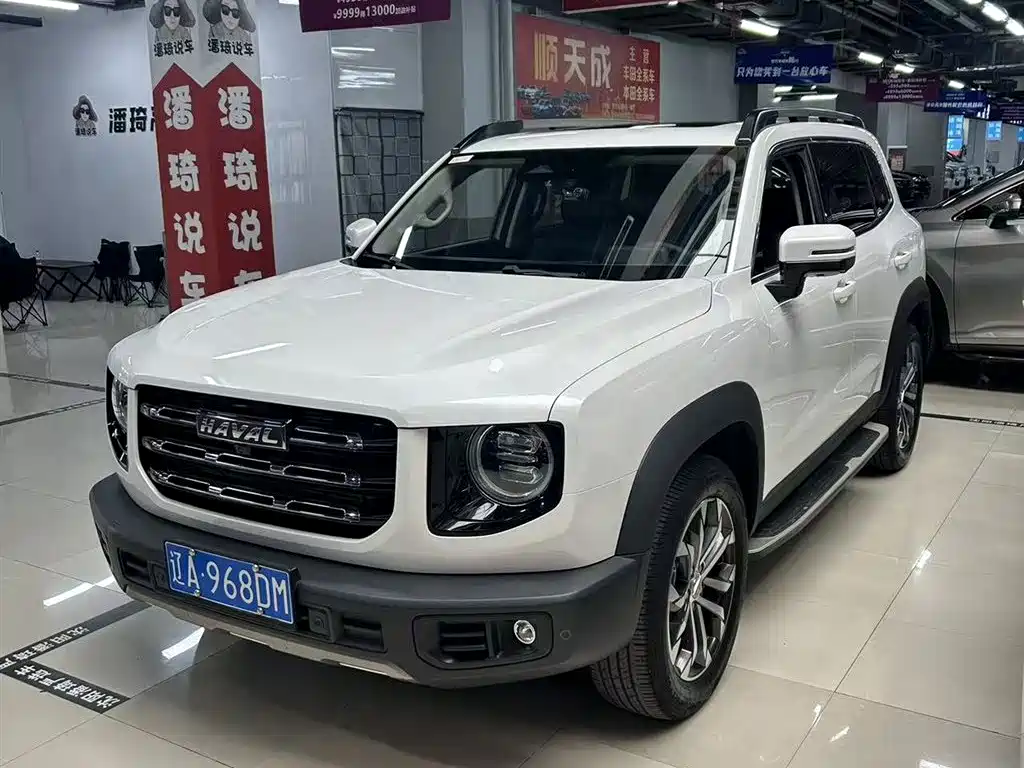 Haval Big Dog 2021 1.5T DCT 2WD Border Collie Edition