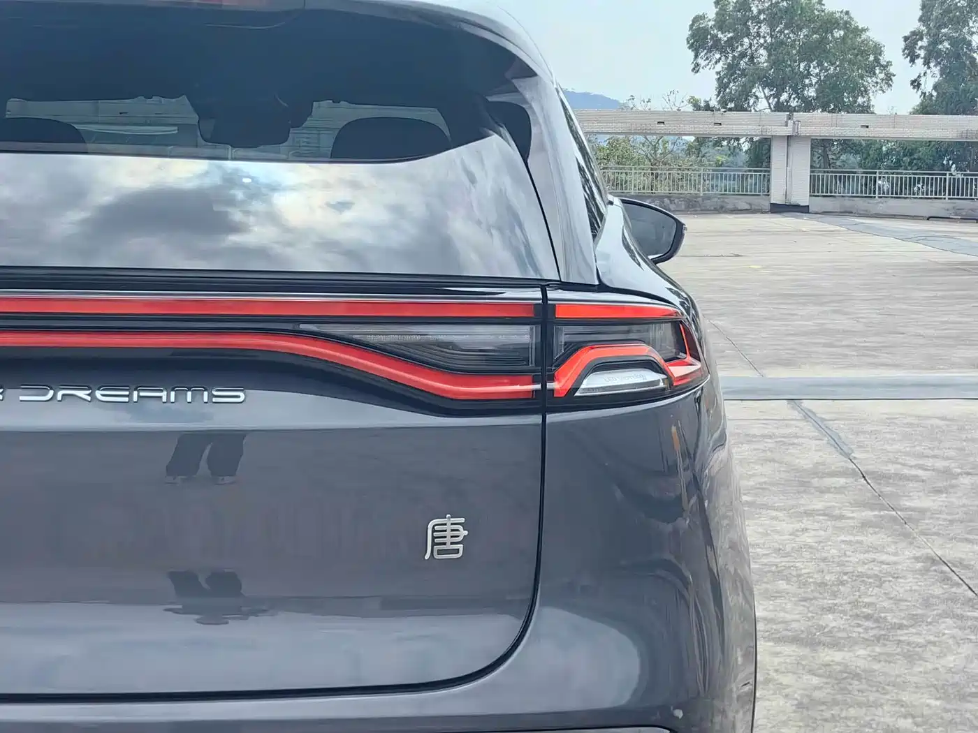 BYD Tang New Energy 2021 DM-i 112KM Honor фото 8