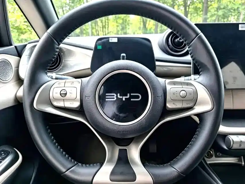 Фото 9 - BYD Dolphin