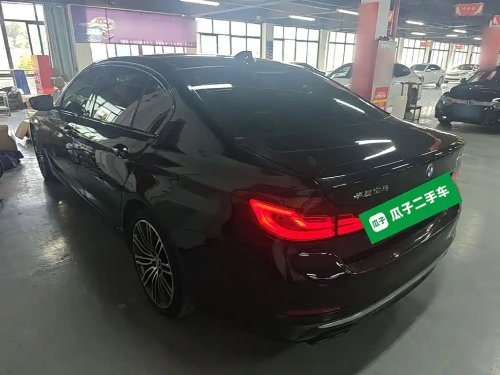 BMW 5 Series New Energy 2020 530Le Range Upgrade Luxury Package фото 5