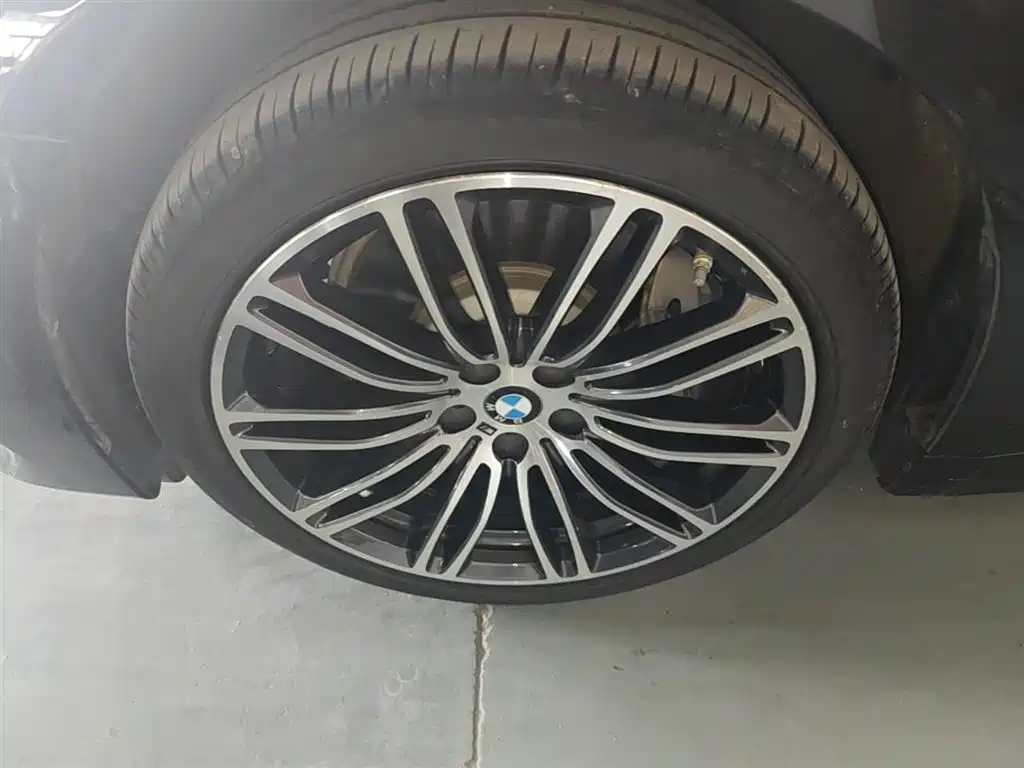 BMW 5 Series New Energy 2020 530Le Range Upgrade Luxury Package фото 23