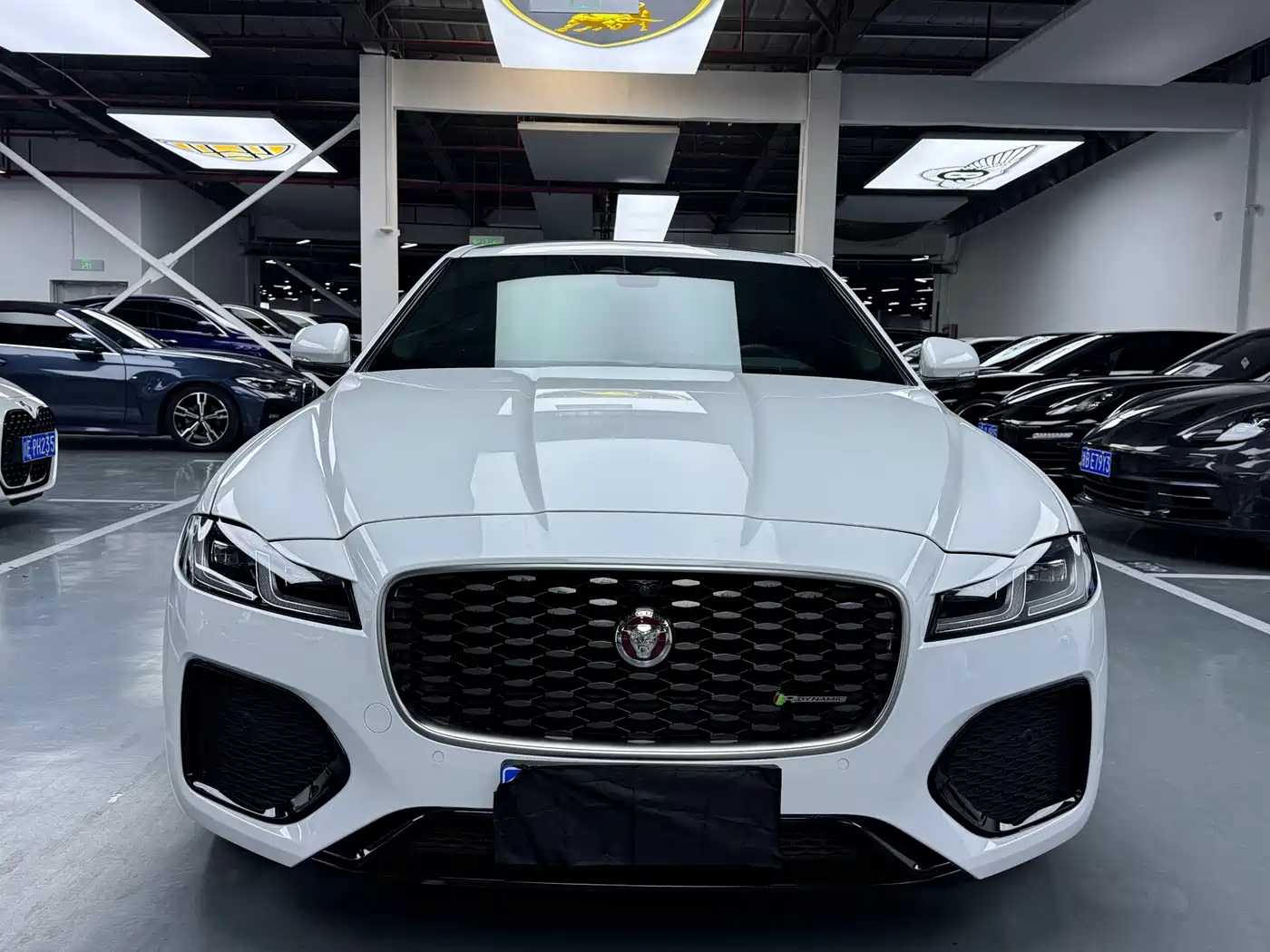 JAGUAR XFL