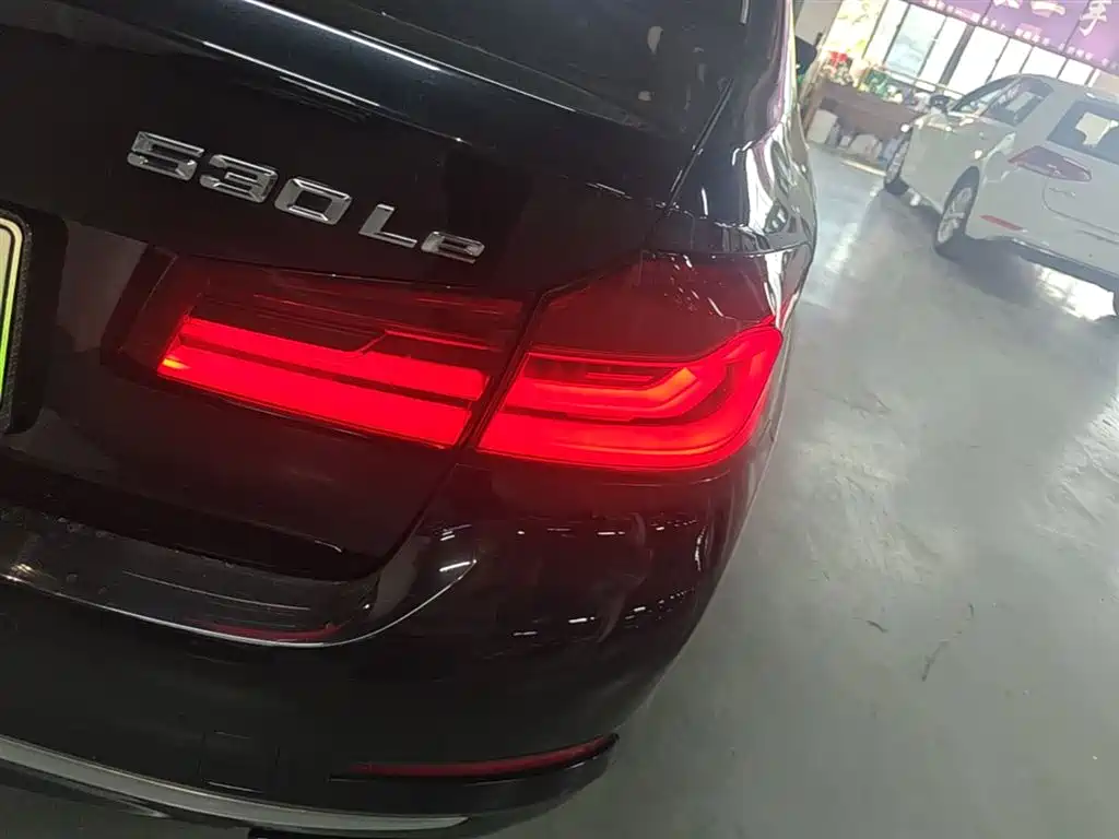 BMW 5 Series New Energy 2020 530Le Range Upgrade Luxury Package фото 8