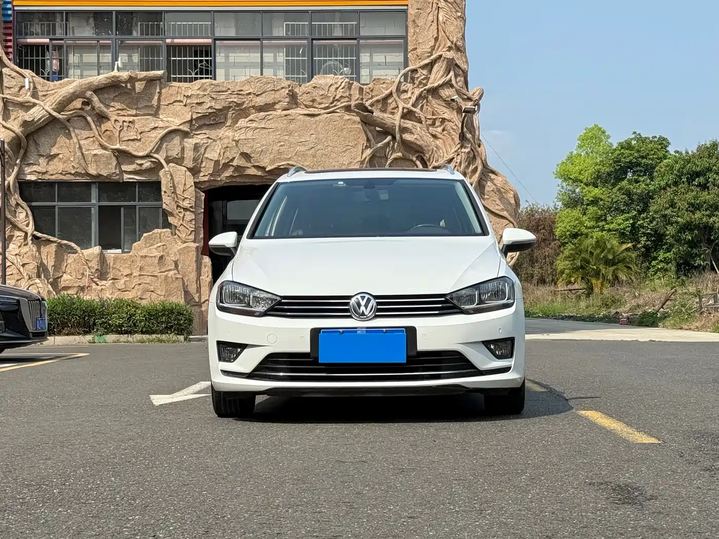Volkswagen Golf Sportsvan 2018 230TSI Automatic Progressive фото 2