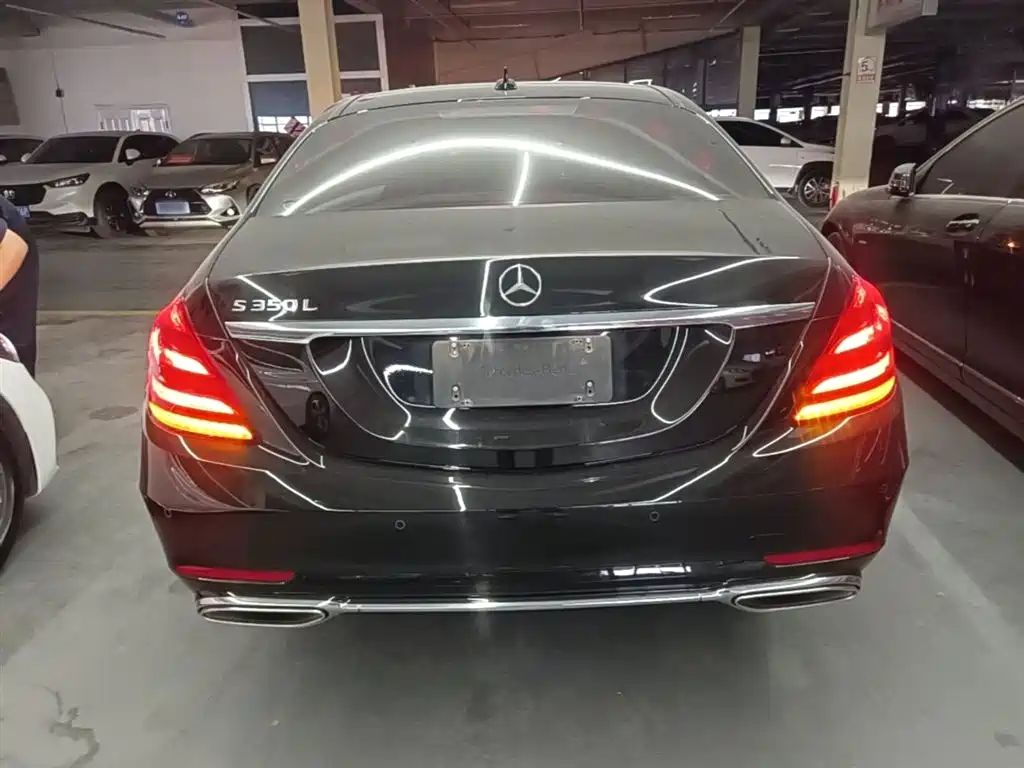 Mercedes-Benz S-Class 2020 S 350 L Business Edition Collector's Version фото 6