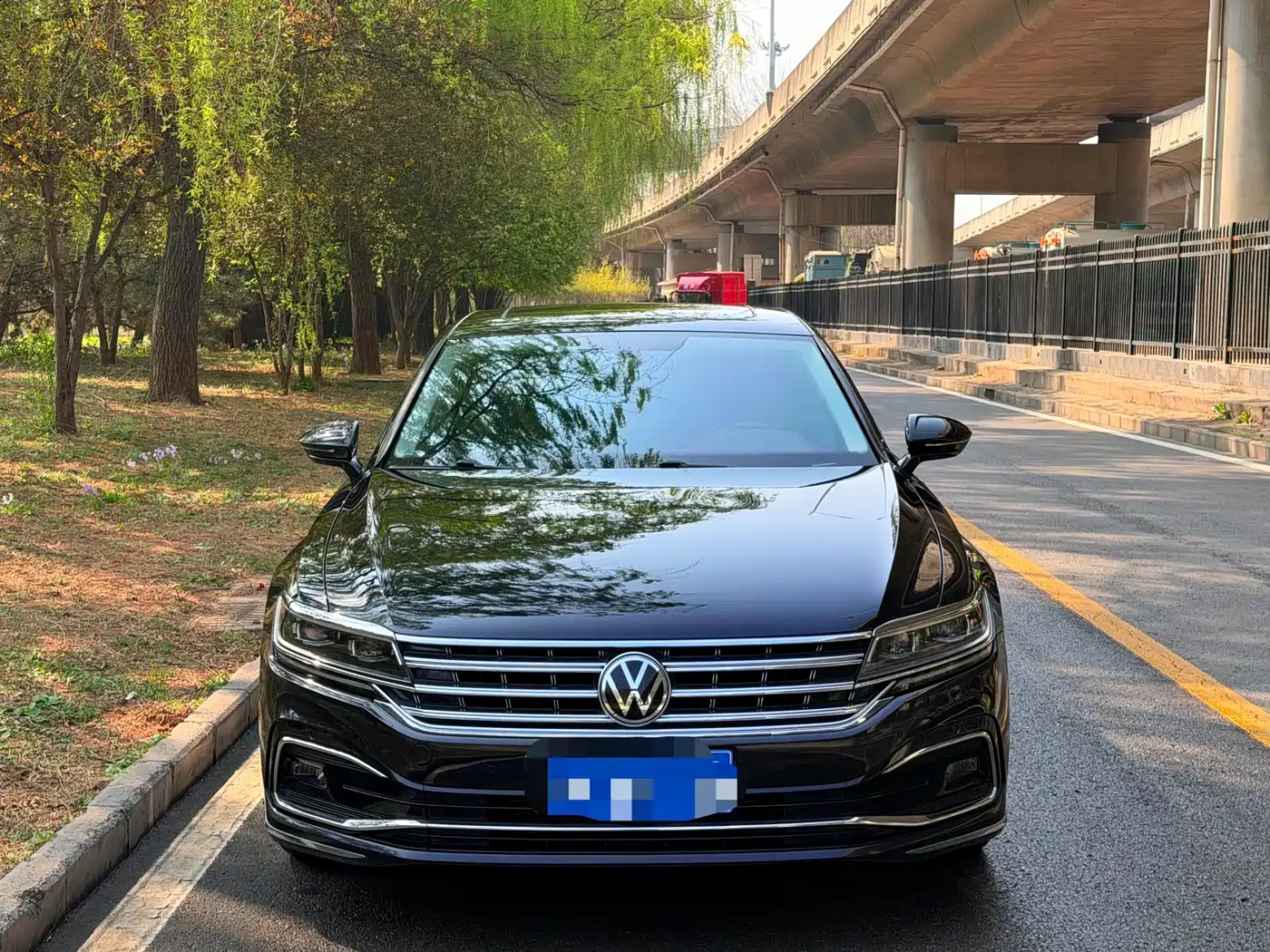 Volkswagen Phideon 2021 380TSI Luxury Edition фото 2
