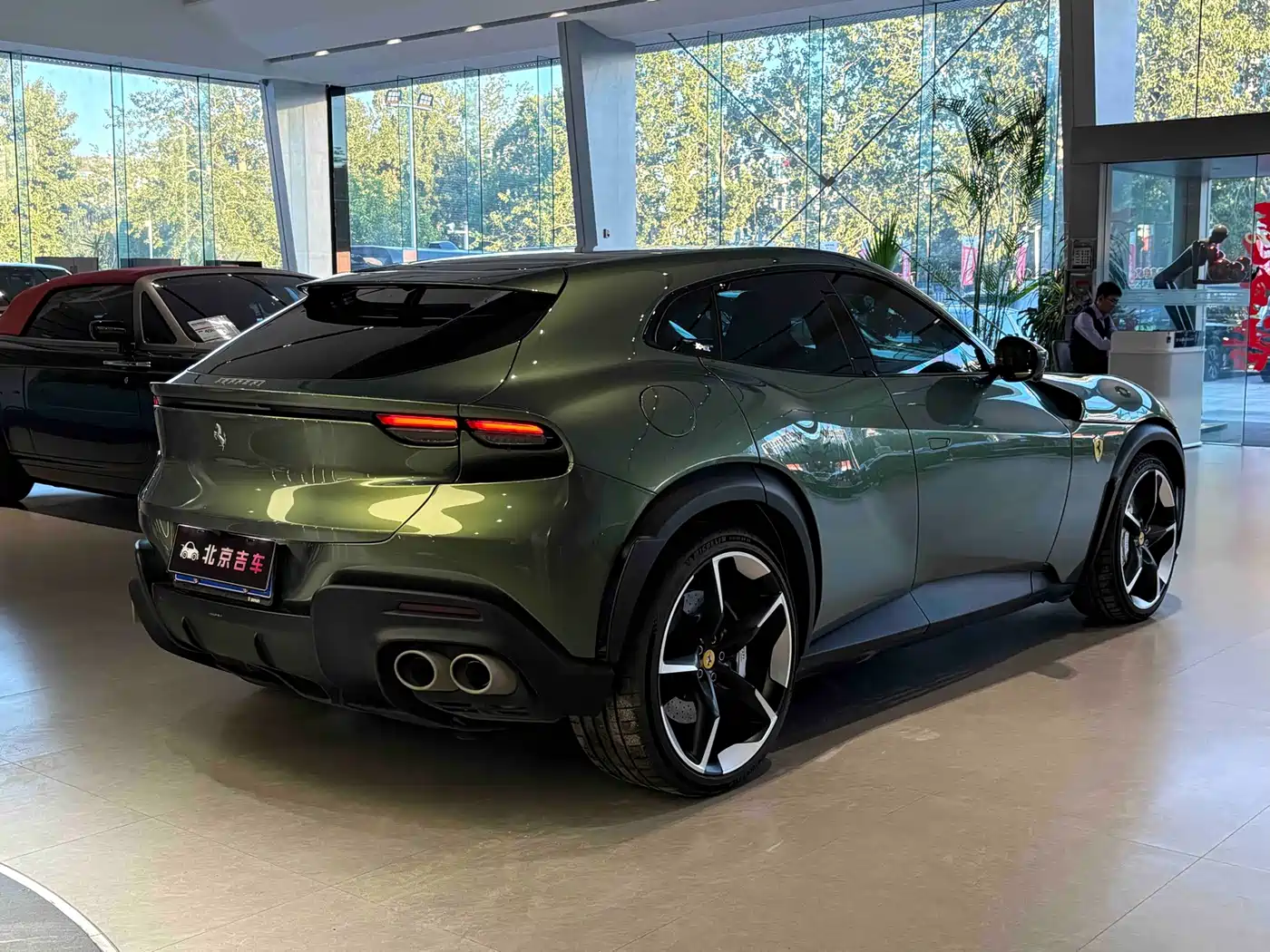 FERRARI PUROSANGUE