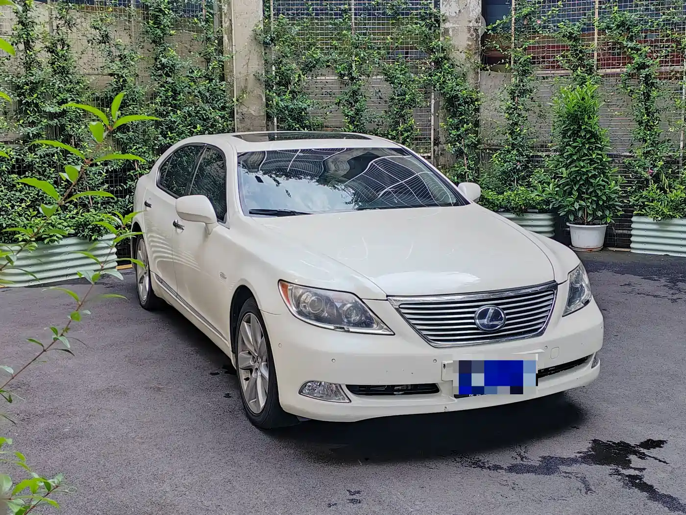 Фото 2 - Lexus LS