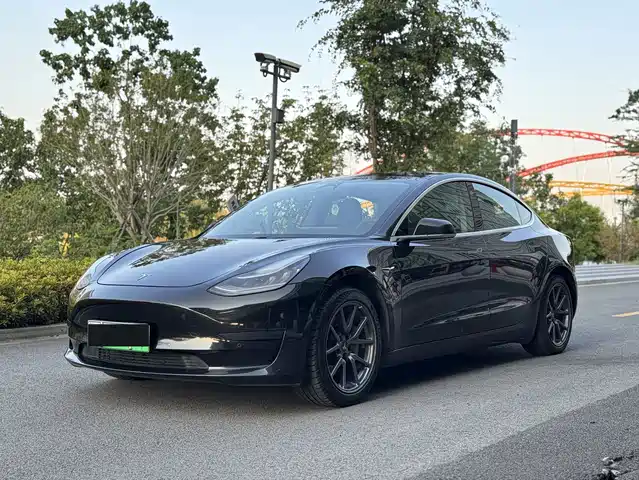 Tesla Model 3 2020 Standard Range Rear-Wheel Drive Upgrade