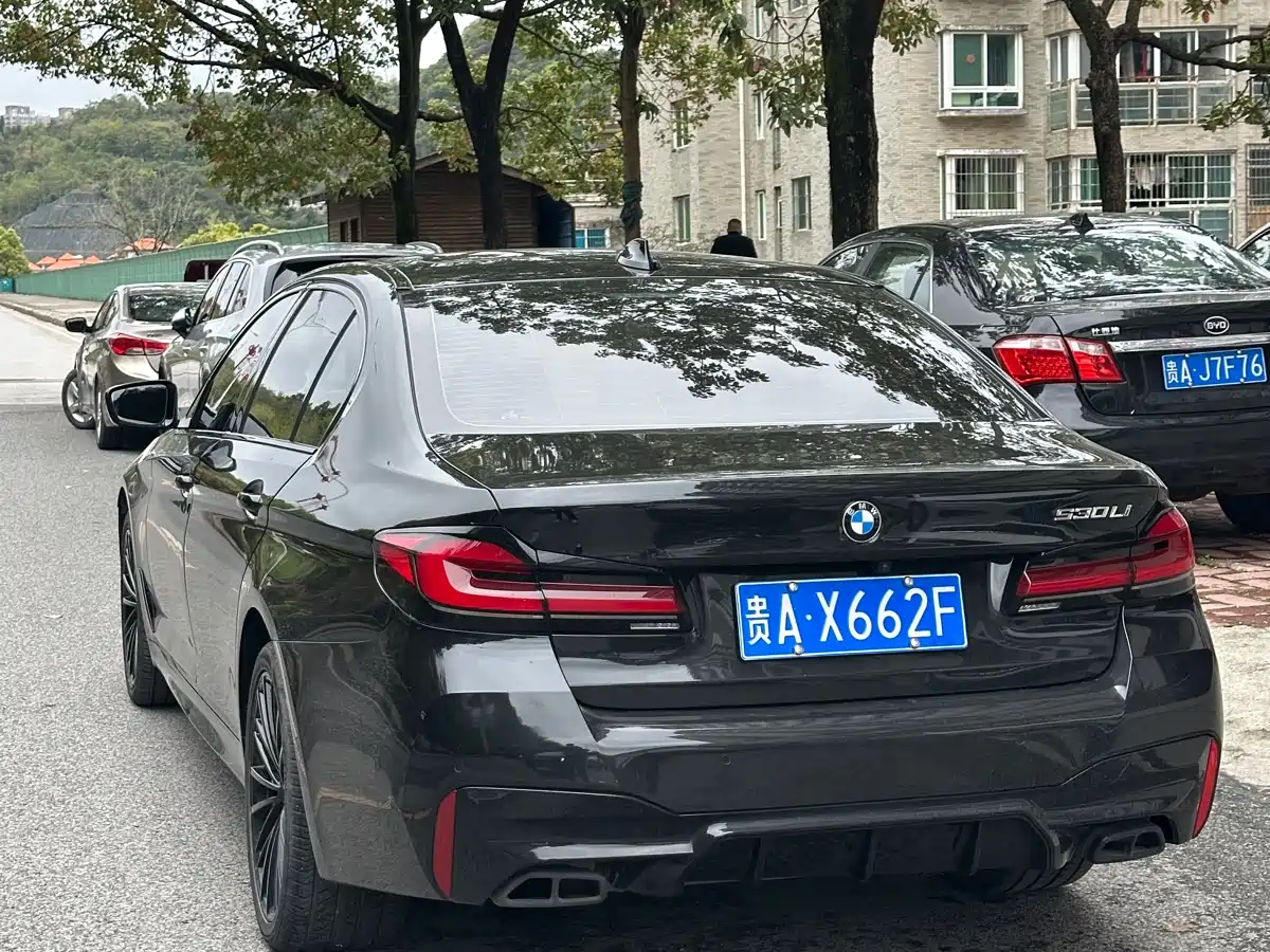 BMW 5 Series 2023 530Li Leading M Sport Package фото 6