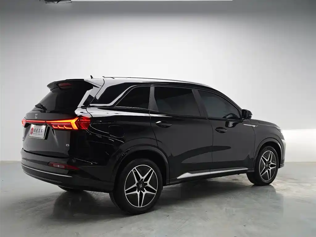 Landian E5 2024 2023 1.5L DE-i 100KM Enjoyment 5-Seater
