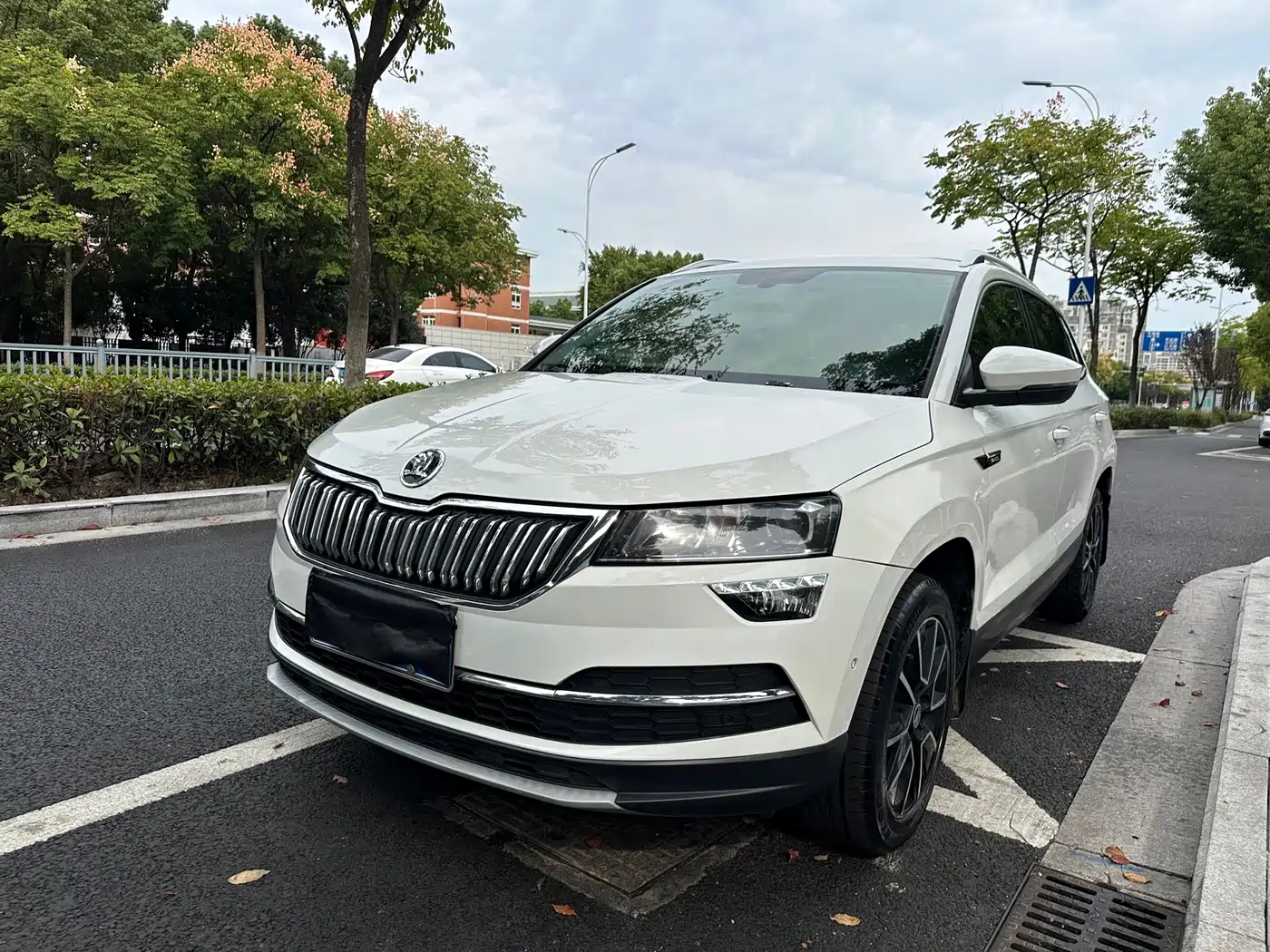 Škoda Karoq 2019 — пригон из Китая