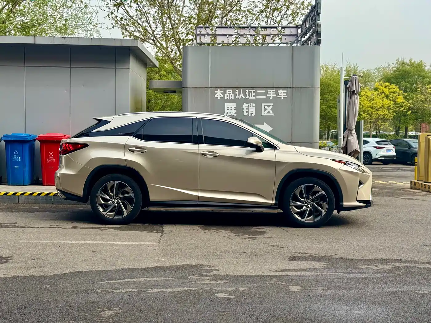 LEXUS RX