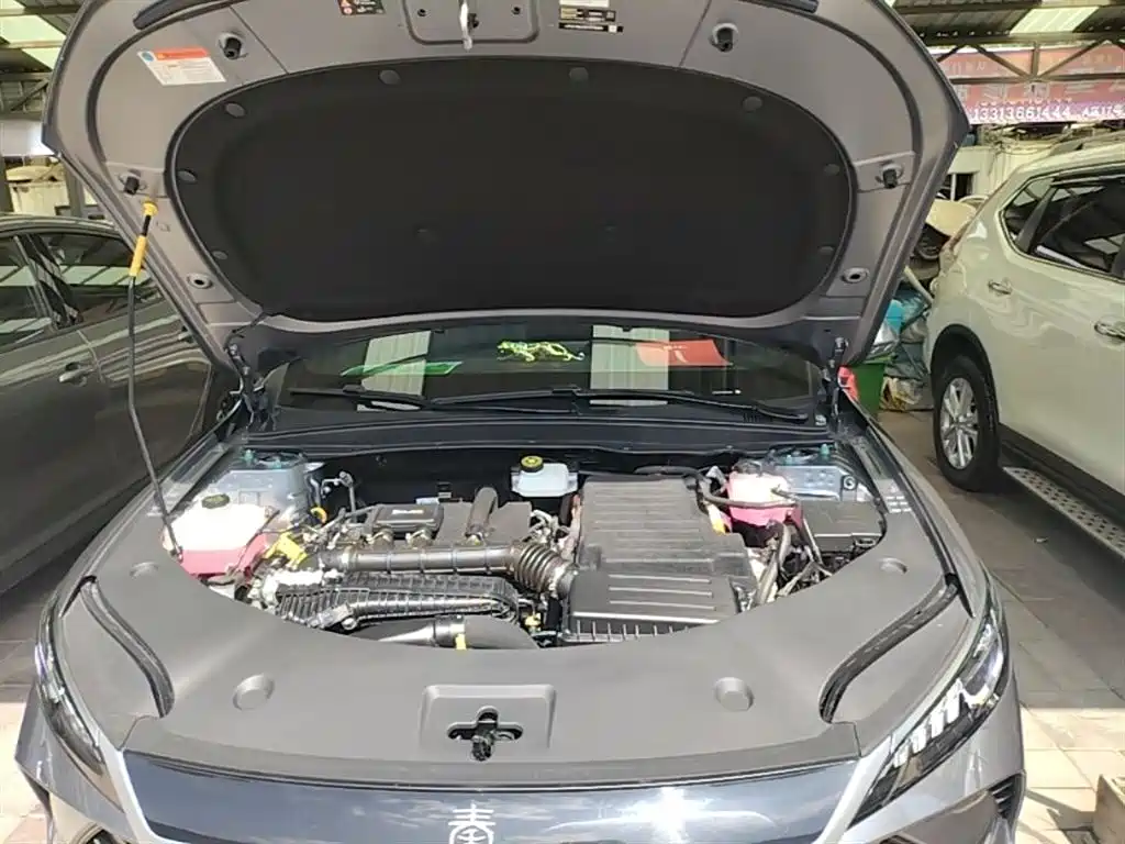 BYD Qin PLUS 2025 DM-i Smart Drive 55KM Leader фото 20