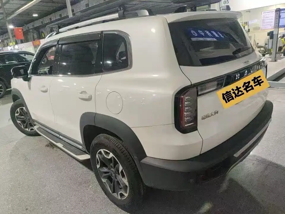 Фото 4 - Haval Dargo