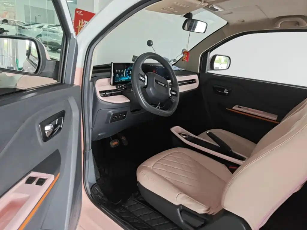 BAW (Beijing Automobile Works) Yuanbao 2023 2022 Model Year Baby Cute Edition