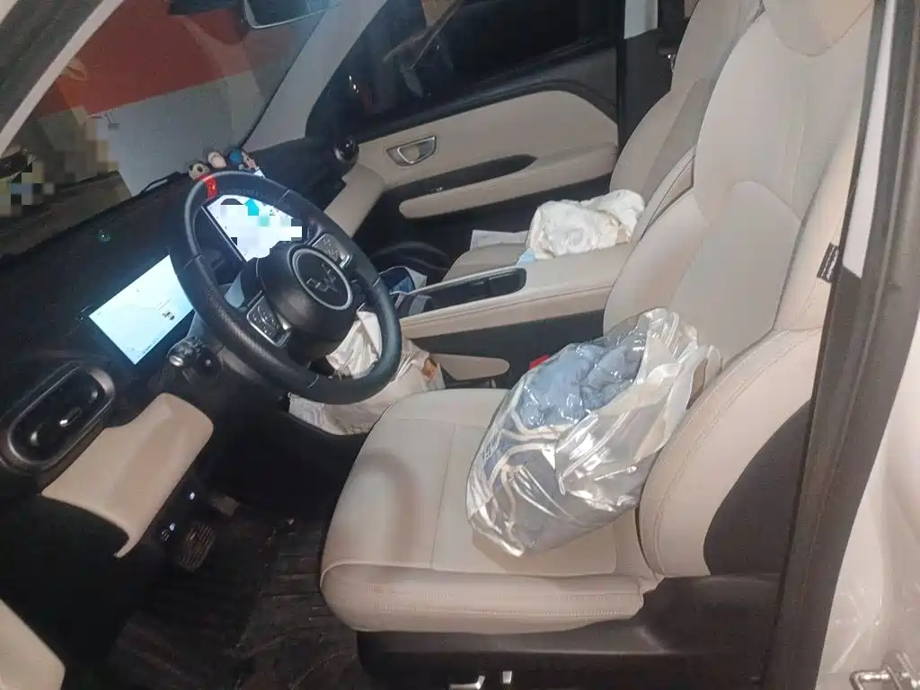 Wuling Motors Wuling Binguo PLUS 2025 2024 Model 330km 5-Seater