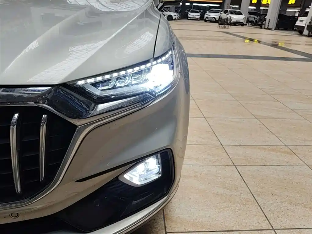 Hongqi HS5 2019 2.0T Smart Connect Enjoy Edition фото 24