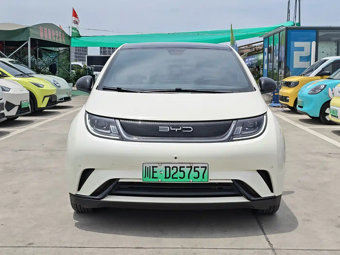 BYD Dolphin 2023 420km Fashion Edition фото 2