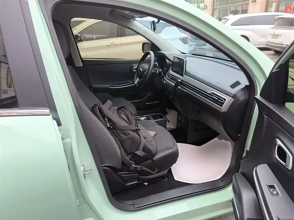 Dayun Yuehu 2022 2022 30.66kWh 2WD Standard Edition