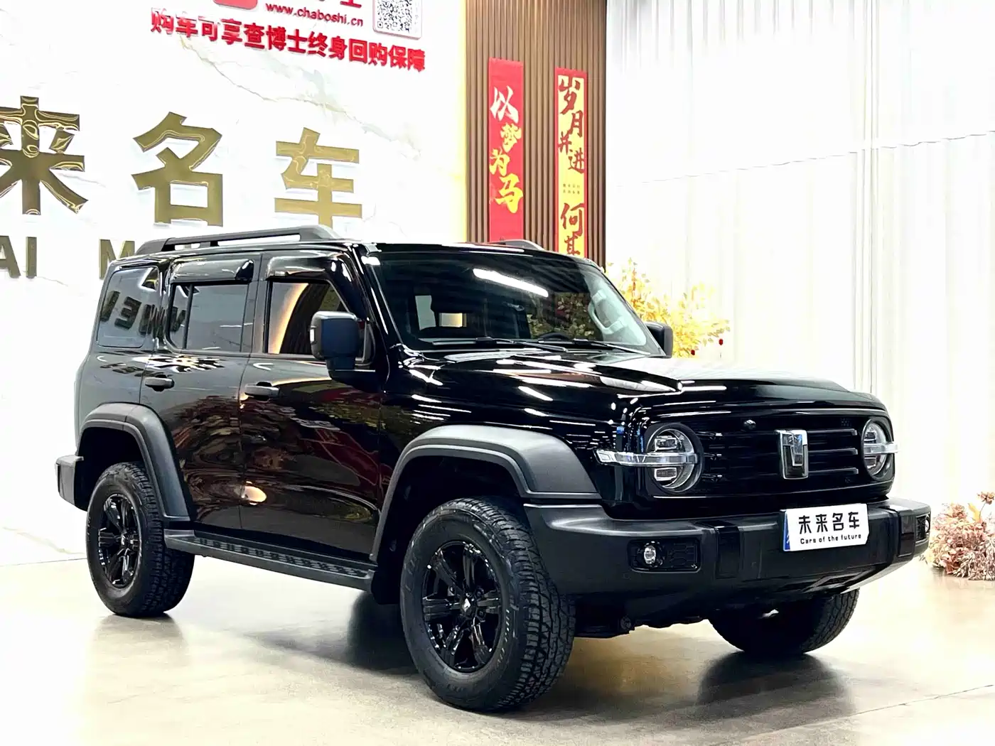 Tank 300 2023 Off-Road Edition 2.0T Conqueror фото 3