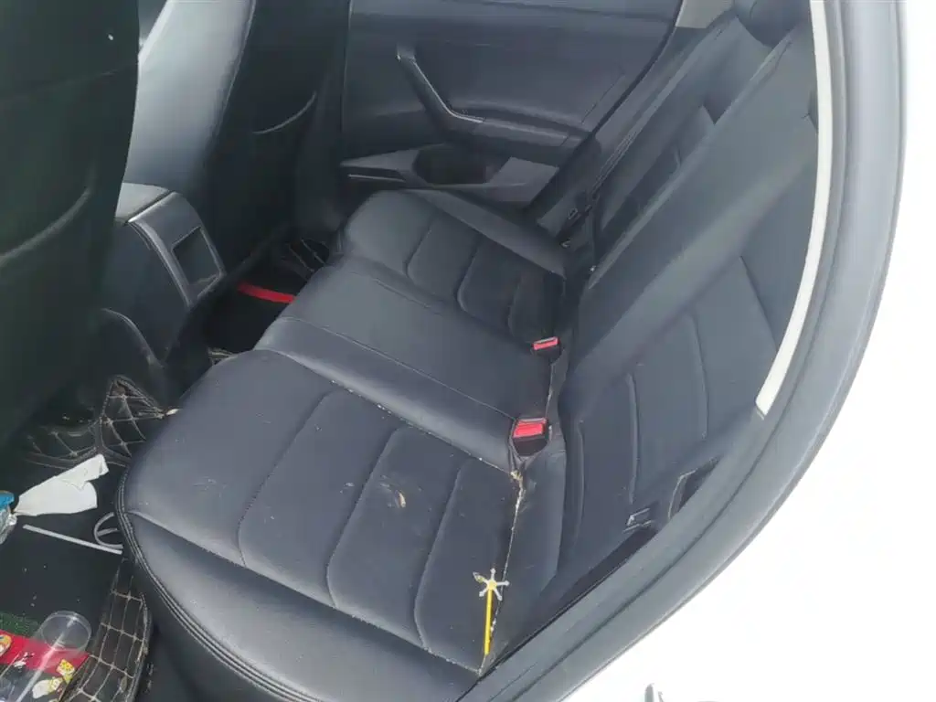 Volkswagen Polo 2019 Plus 1.5L Automatic Panorama Enjoyment Edition фото 17