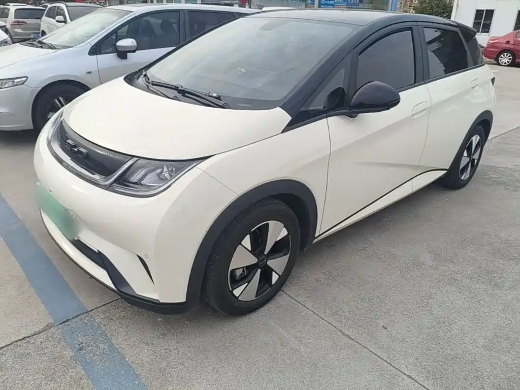 Фото 2 - BYD Dolphin