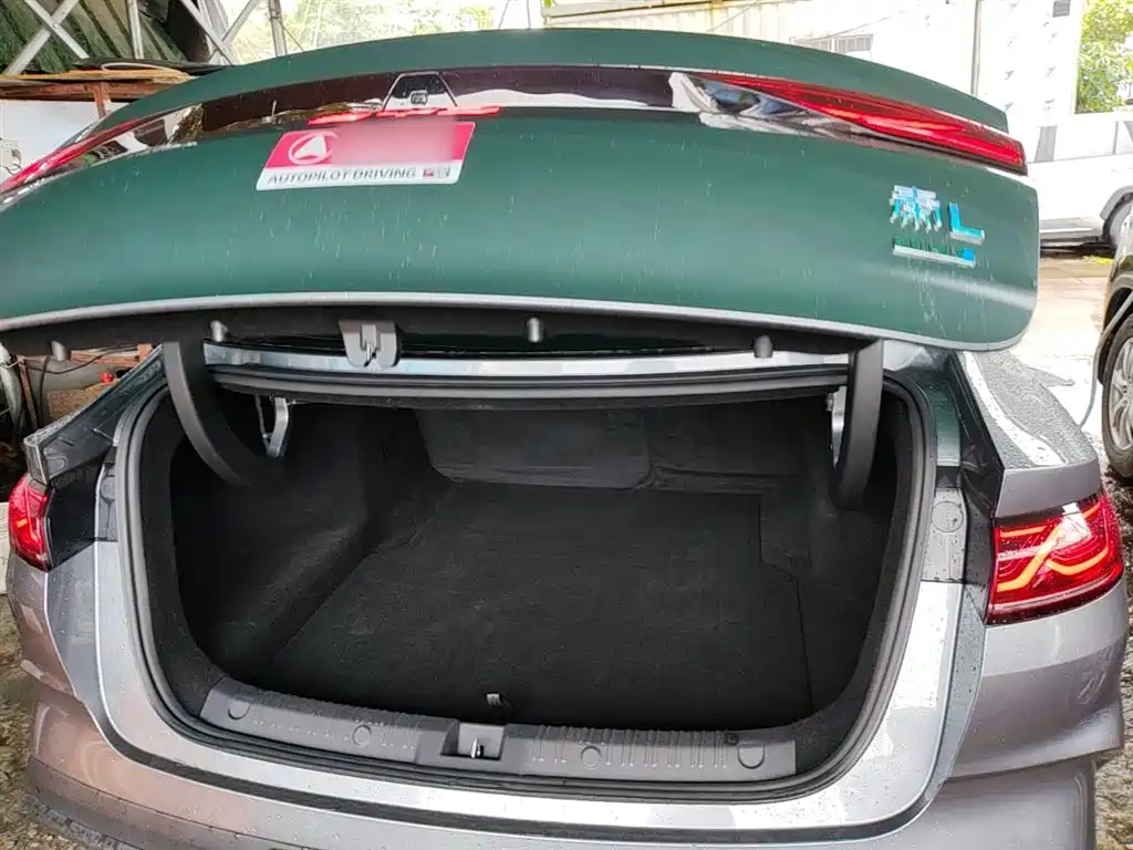 BYD Qin L 2025 DM-i Smart Drive 80KM Premium фото 19