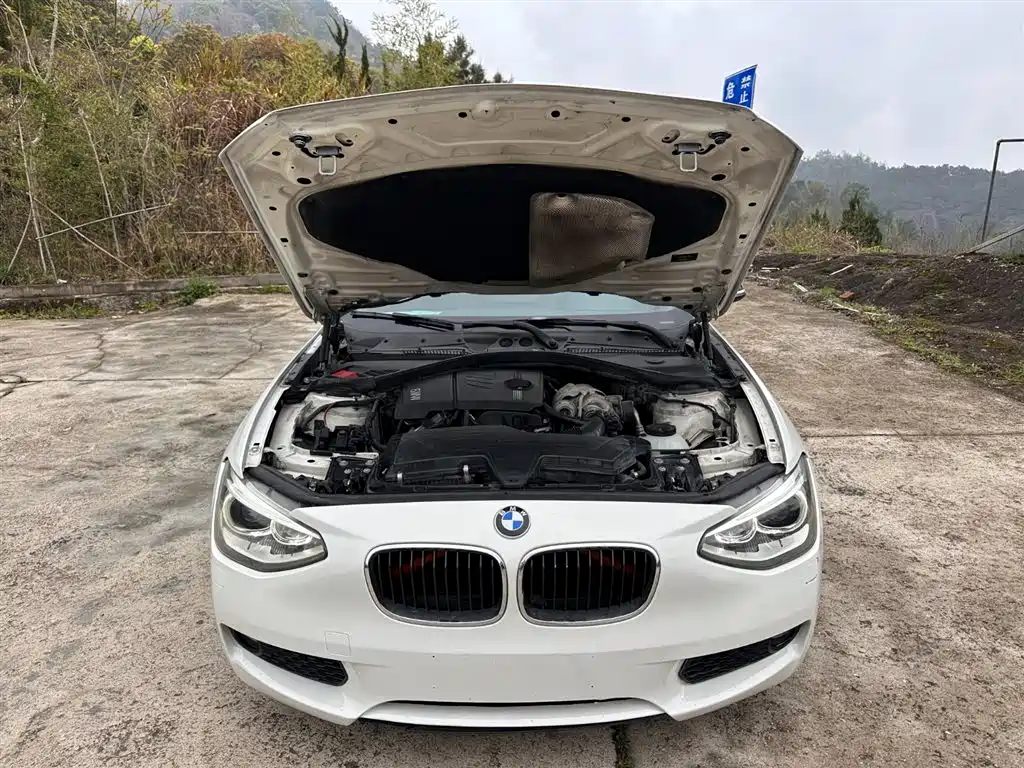 BMW 1 Series (Import) 2012 118i Leading фото 15