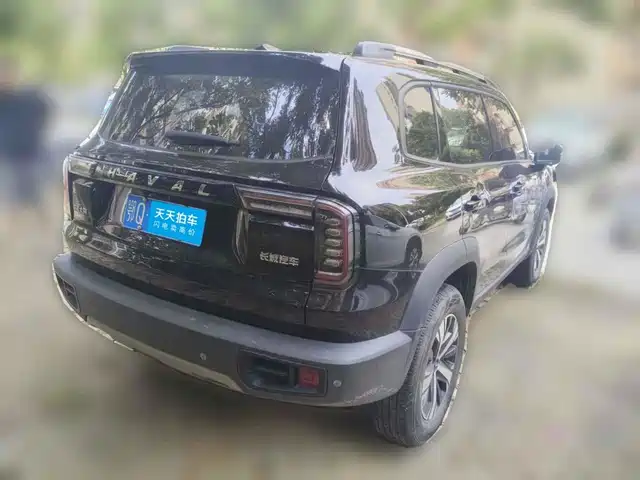 Haval Big Dog 2022 1.5T DCT FWD Labrador Edition — фото 2