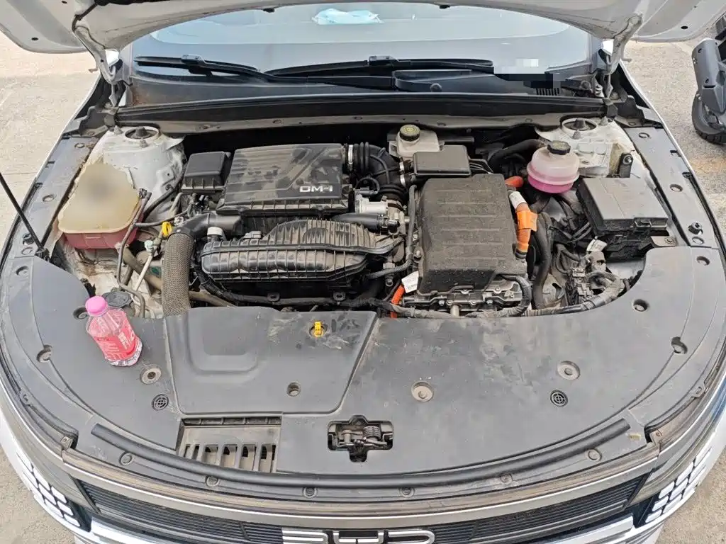 BYD Destroyer 05 2023 2023 Champion Edition DM-i 55KM Luxury