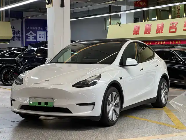 Tesla Model Y 2021 Standard Range Rear-Wheel Drive — фото 3