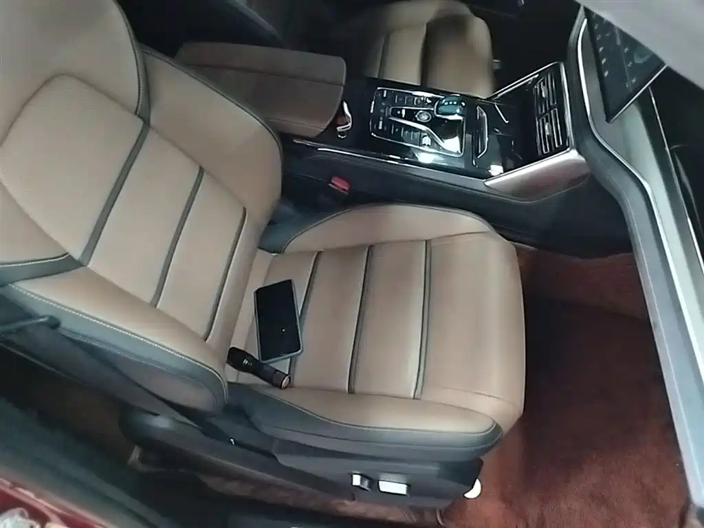 BYD Tang New Energy 2021 DM 2.0T AWD High Performance Premium фото 25