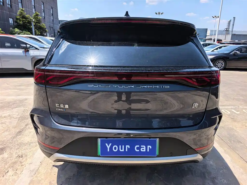 BYD Tang New Energy 2024 DM-i Honor Edition 112KM Premium фото 5