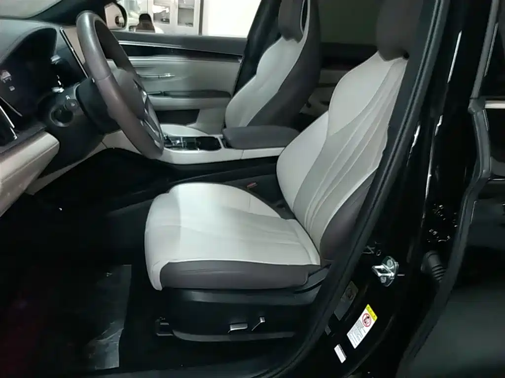 BYD Song PLUS PHEV 2025 DM-i 112KM Honor фото 15