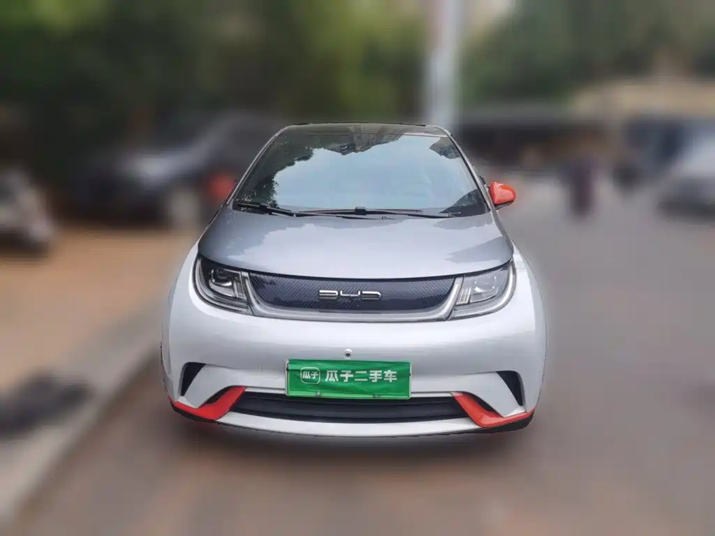Фото 2 - BYD Dolphin