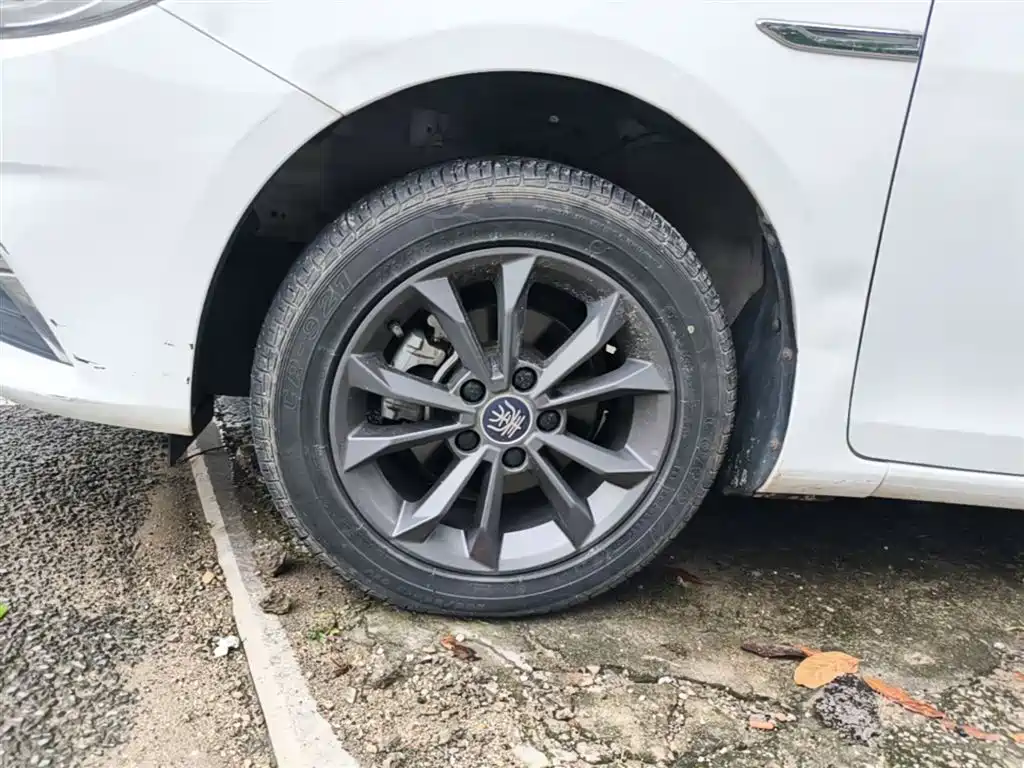 BYD Qin 2019 1.5L Automatic Luxury Edition фото 23