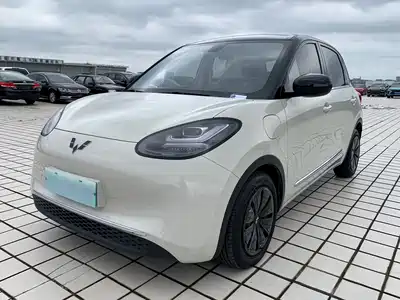 Wuling Bingo