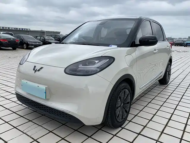 Wuling Bingo 410km, Lingxi Premium