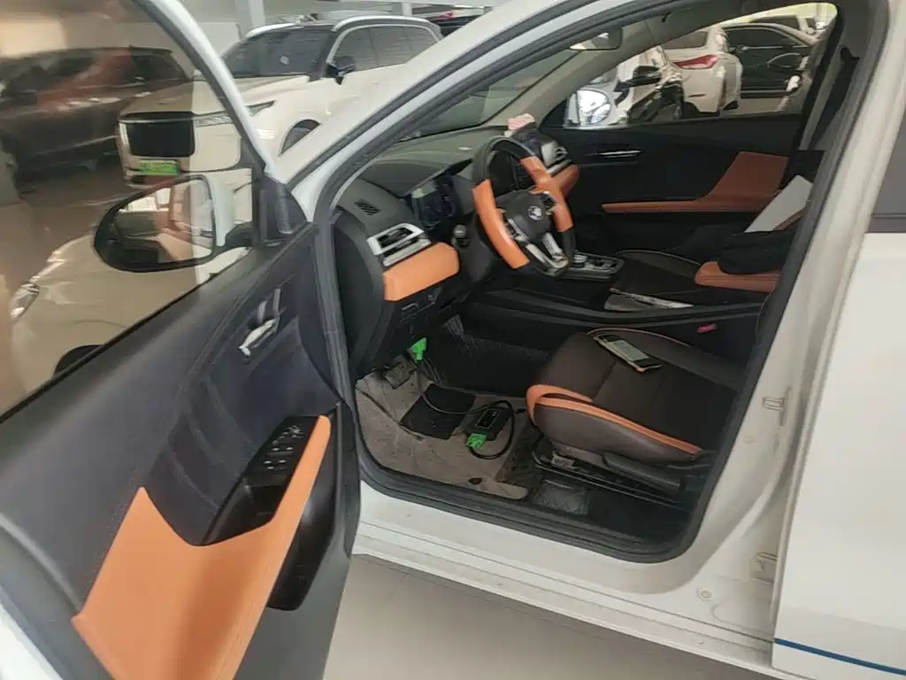 BYD e2 2021 2021 Luxury Edition