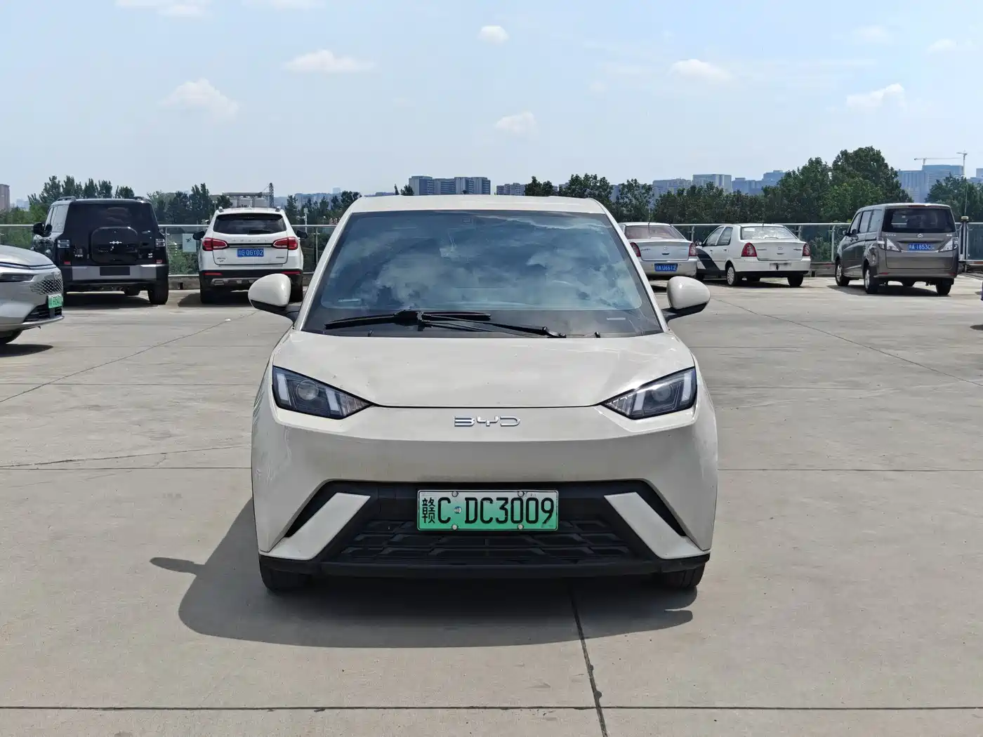 BYD Seagull 2024 Glory Edition 305km Vitality Edition фото 2