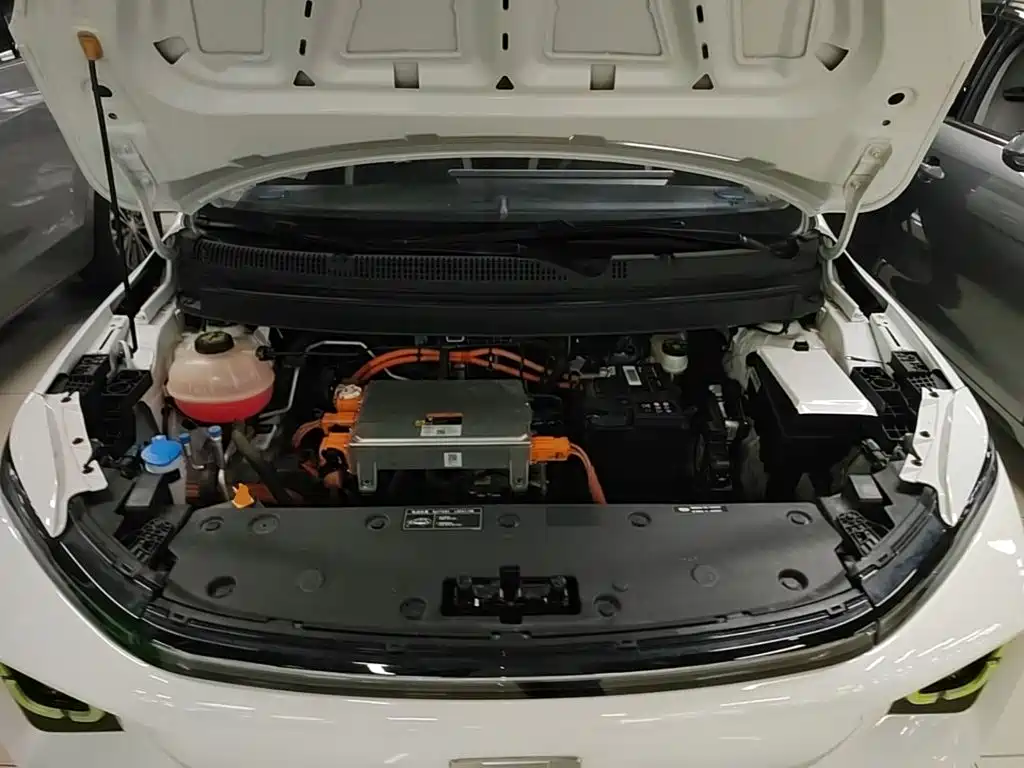 Geely Geometry E Firefly 2022 2022 401KM Delicate Tiger 4-seater